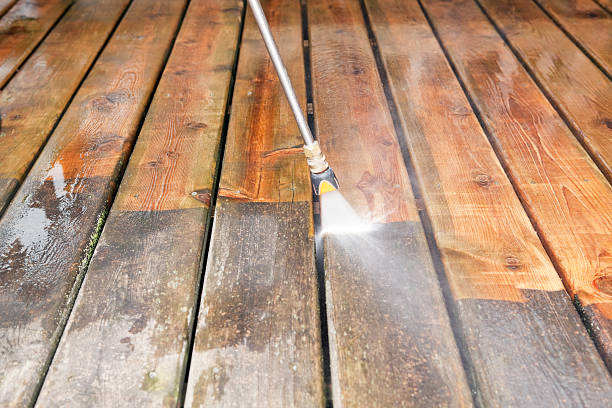 Best Gutter Cleaning  in Dell Rapids, SD